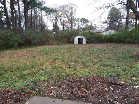 334 E Raines Rd, Memphis, TN 38109 photo 24