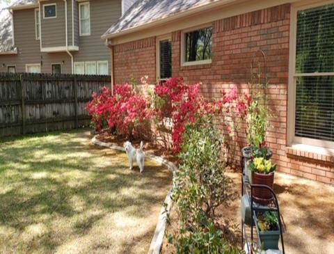 720 Crestover Dr, Collierville, TN 38017 photo 24