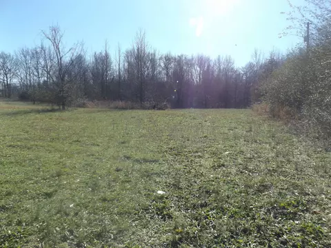 1010 Walton Loop, Covington, TN 38019 photo 7