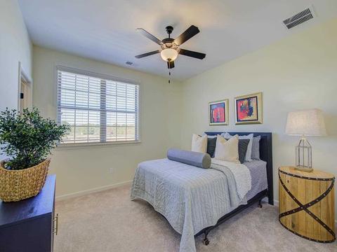 893 Ufton Dr, Collierville, TN 38017 photo 17