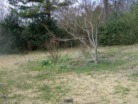1050 Pryor Rd, Drummonds, TN 38023 photo 9