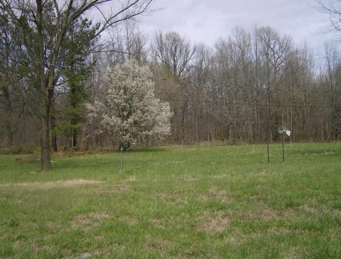 1050 Pryor Rd, Drummonds, TN 38023 photo 10
