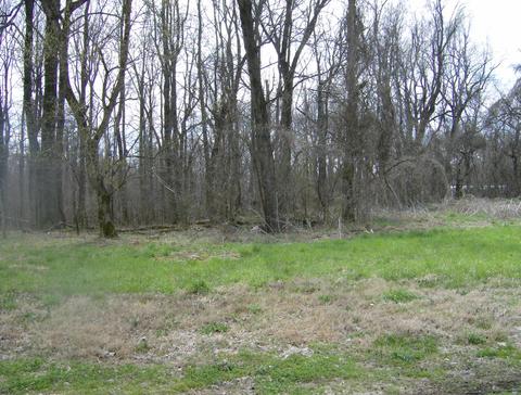 1050 Pryor Rd, Drummonds, TN 38023 photo 11