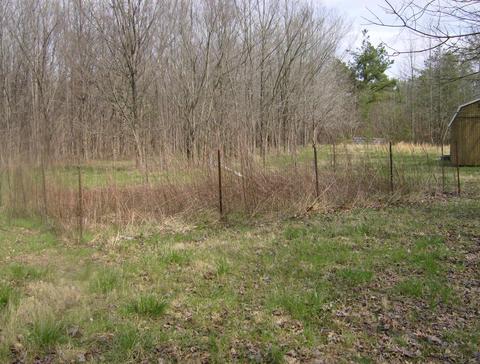 1050 Pryor Rd, Drummonds, TN 38023 photo 8