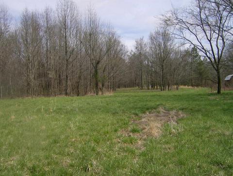 1050 Pryor Rd, Drummonds, TN 38023 photo 12