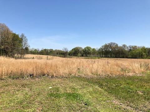 1448 Eurekaton Rd, Stanton, TN 38069 photo 4