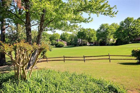 10247 Peyton Path Cv, Collierville, TN 38017 photo 24