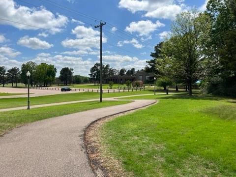 7767 Terry Franklin Dr, Bartlett, TN 38133 photo 6