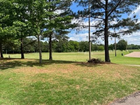 7767 Terry Franklin Dr, Bartlett, TN 38133 photo 3