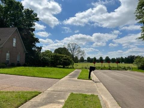 7767 Terry Franklin Dr, Bartlett, TN 38133 photo 8