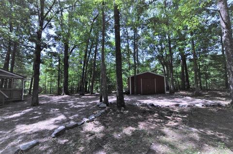 270 Wright Ln, Counce, TN 38326 photo 21