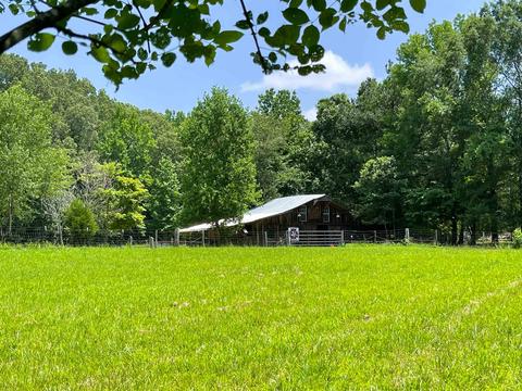 9611 Deadfall Rd, Brighton, TN 38011 photo 23