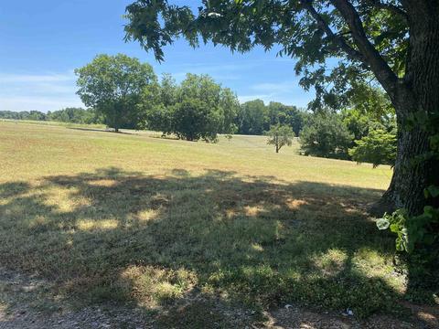 851 Bringle Rd, Covington, TN 38019 photo 24