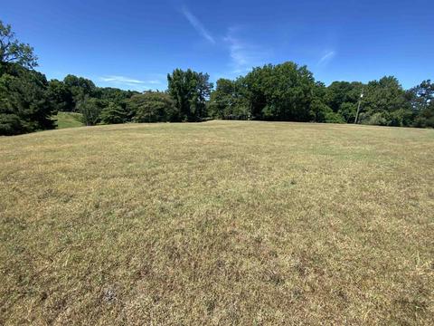 851 Bringle Rd, Covington, TN 38019 photo 6