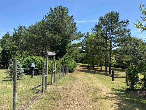 155 Fraley Dr, Counce, TN 38326 photo 15