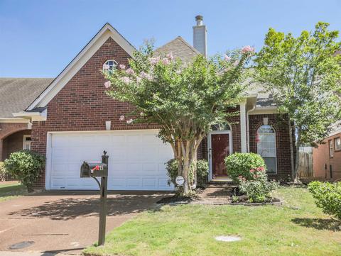 8715 Eagle View Dr, Memphis, TN 38018 photo 1