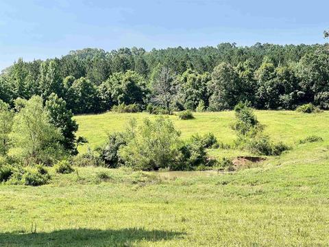 990 Cr 102 Rd, Walnut, MS 38683 photo 9