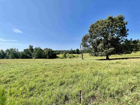 990 Cr 102 Rd, Walnut, MS 38683 photo 8
