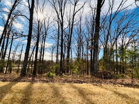 643 Mount Laurel Dr, Collierville, TN 38017 photo 11