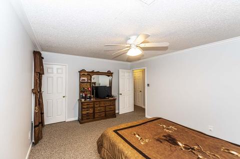 7202 Mt Carmel Rd, Covington, TN 38019 photo 23