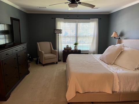 322 Spring Mill Rd, Collierville, TN 38017 photo 21