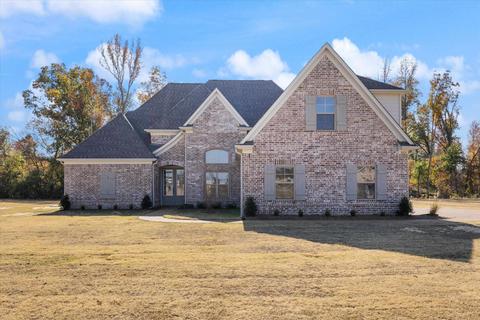 8221 Briscoe Dr, Olive Branch, MS 38654 photo 1