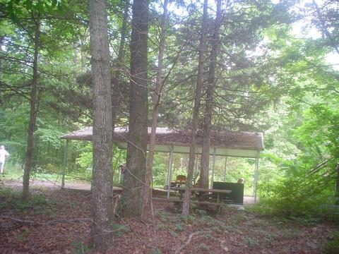 2530 Ebenezer Loop, Somerville, TN 38068 photo 7