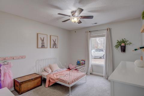 205 Alan Cv, Collierville, TN 38017 photo 16