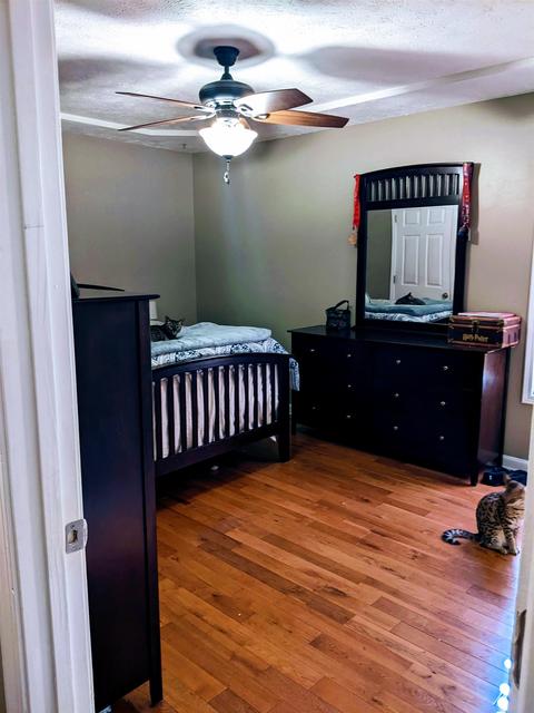 320 Opel Loop, Savannah, TN 38372 photo 7
