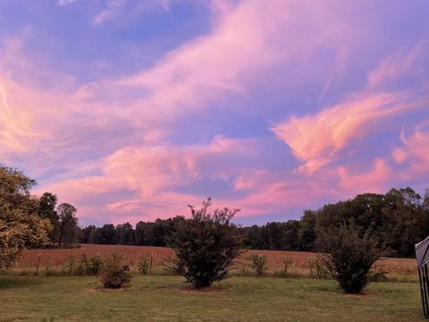 407 Mccleary Rd, Jackson, TN 38305 photo 3