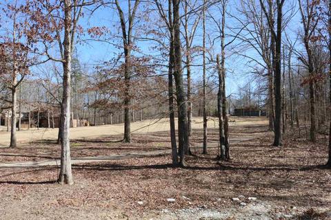 100 Bogey Loop, Counce, TN 38326 photo 15