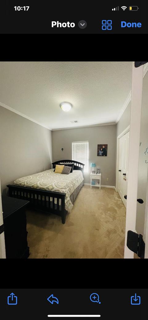 3552 Polly Dr, Bartlett, TN 38133 photo 4