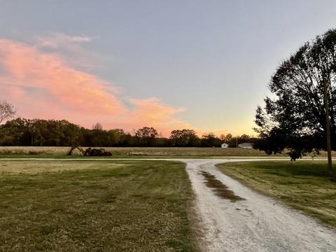 1855 Ebenezer Loop, Somerville, TN 38068 photo 17