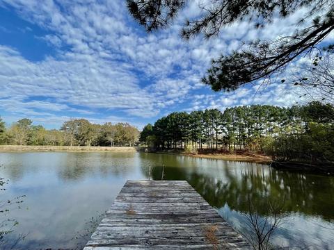 1855 Ebenezer Loop, Somerville, TN 38068 photo 23