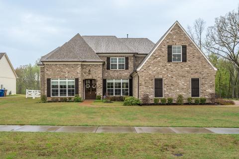 10550 Mount Mckenzie Rd, Lakeland, TN 38002