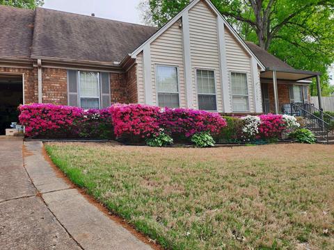 2760 Oakleaf Cv, Memphis, TN 38134