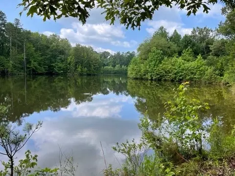 12435 Powell Chapel Rd, Hornsby, TN 38044