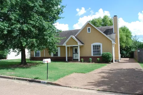 6561 Bald Oak Dr, Memphis, TN 38141