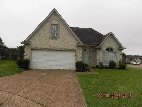 2215 Coral Tree Cv, Cordova, TN 38016