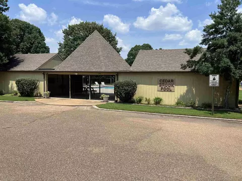 336 Cedar Brook Dr, Collierville, TN 38017 photo 24