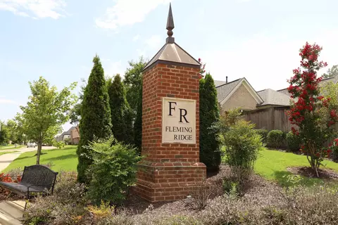 4718 Emmas Cir E, Collierville, TN 38017 photo 20