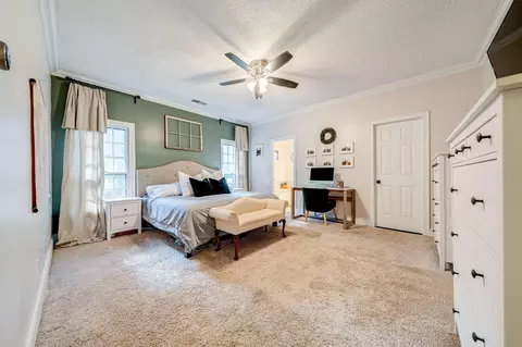 742 N Tree Dr, Collierville, TN 38017 photo 23