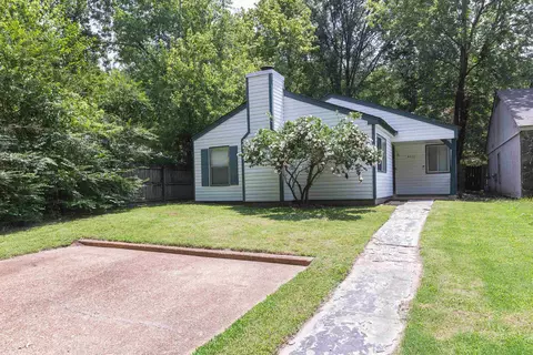 4631 Buffer Dr, Memphis, TN 38128 photo 17
