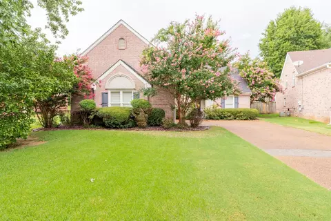 8234 Waverly Cv, Olive Branch, MS 38654