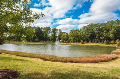 View/Area - 894 Cypress Vine Cv, Collierville, TN 38017 photo 1 of 3