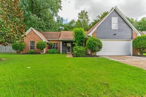 8005 Tankard Dr, Memphis, TN 38125