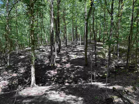 113 Saint Rd, Beech Bluff, TN 38313 photo 23