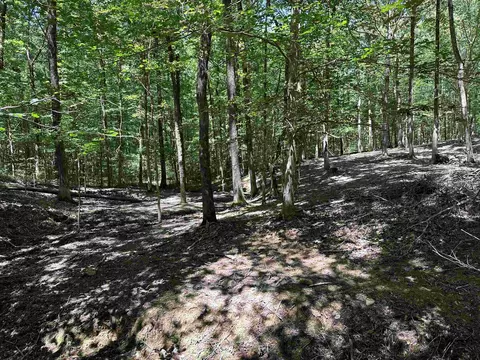 113 Saint Rd, Beech Bluff, TN 38313 photo 24