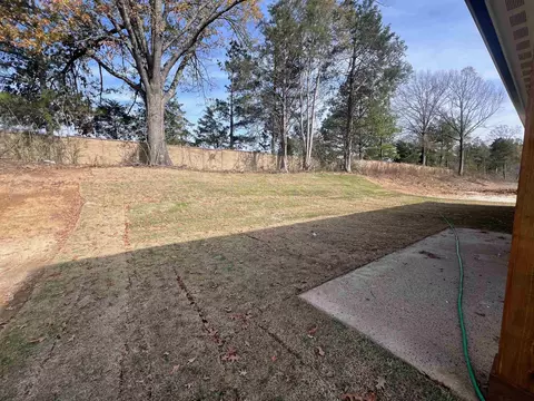 10272 Liam Ln, Collierville, TN 38017 photo 28