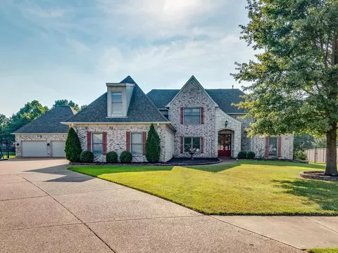 154 Elm Creek Cv, Collierville, TN 38017